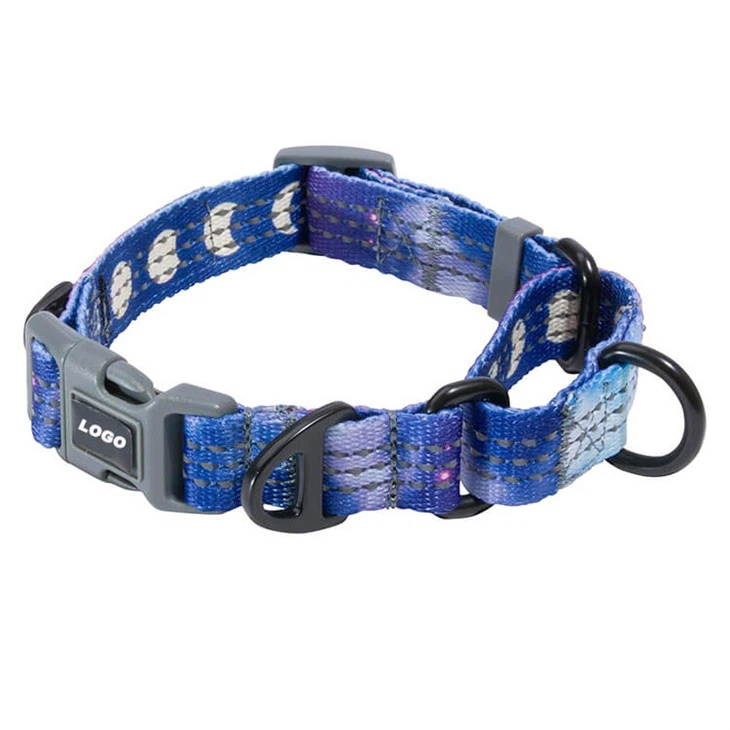 lightweight dog collar5