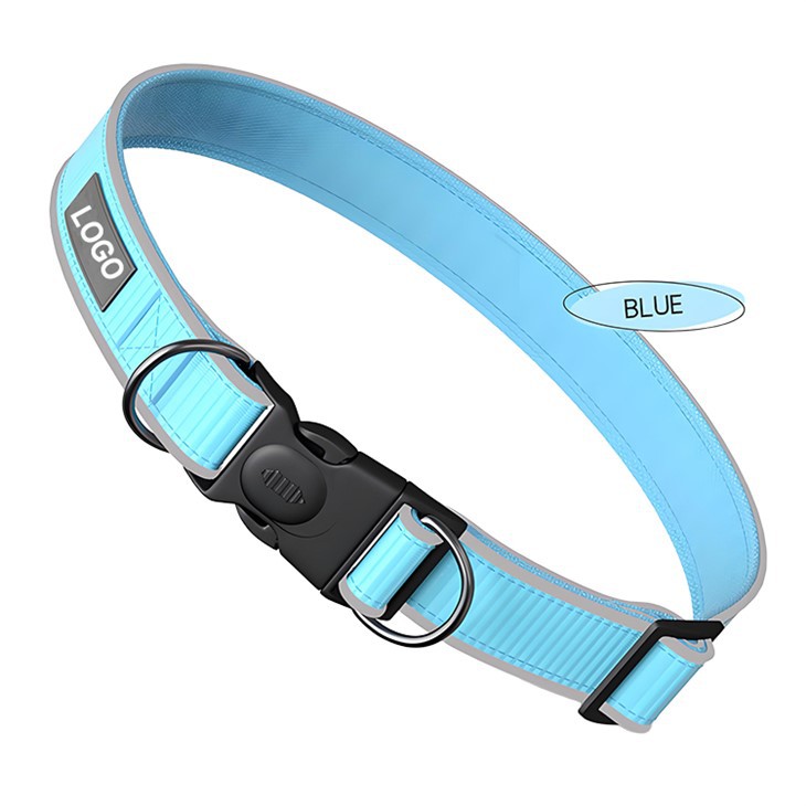 best shock collar for dogs