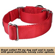 Martingale Training Collar