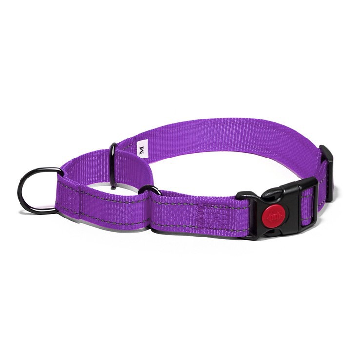 Reflective Nylon Martingale Collar suppliers