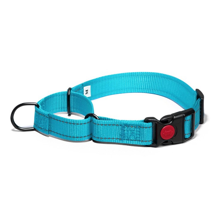 Reflective Nylon Martingale Collar best