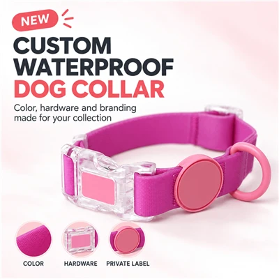 Coated Webbing Dog Collar