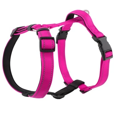 Five-point Dog Harness