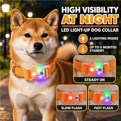 LED Buckle Dog Collar