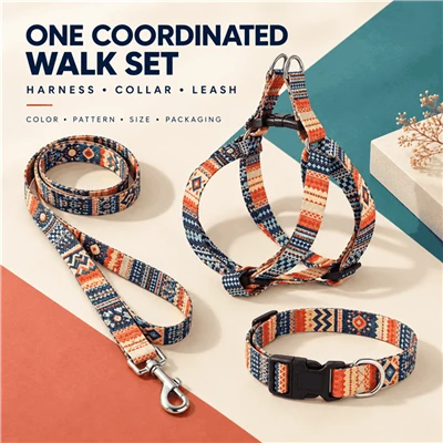 Printed Dog Walking Set