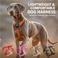 Quick Release Neck Harness