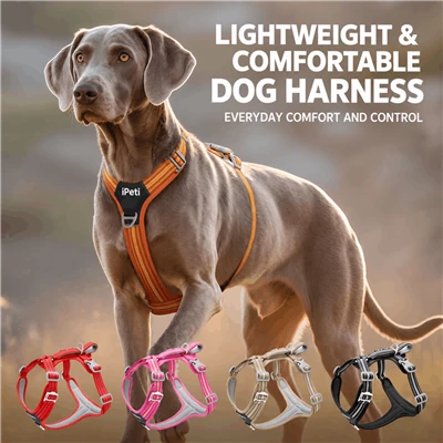 Quick Release Neck Harness
