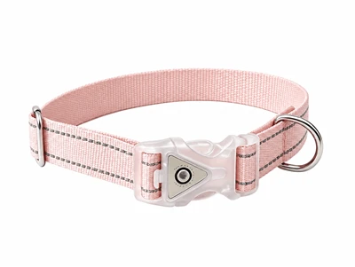 Reflective LED Buckle Collar Set
