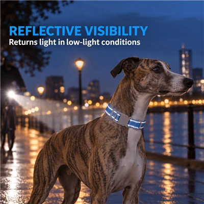 Reflective Padded Dog Collar
