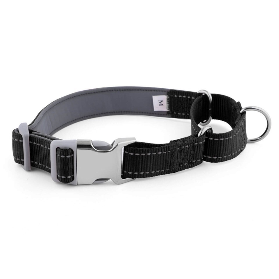 2-in-1 Martingale-Style Dog Collar high quality