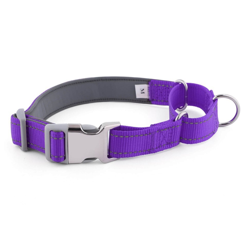 2-in-1 Martingale-Style Dog Collar best