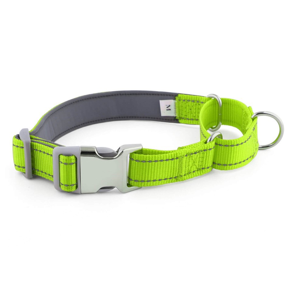 2-in-1 Martingale-Style Dog Collar price