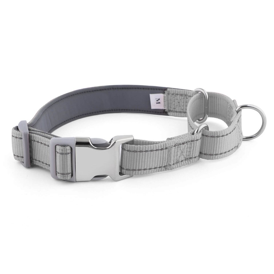 2-in-1 Martingale-Style Dog Collar suppliers