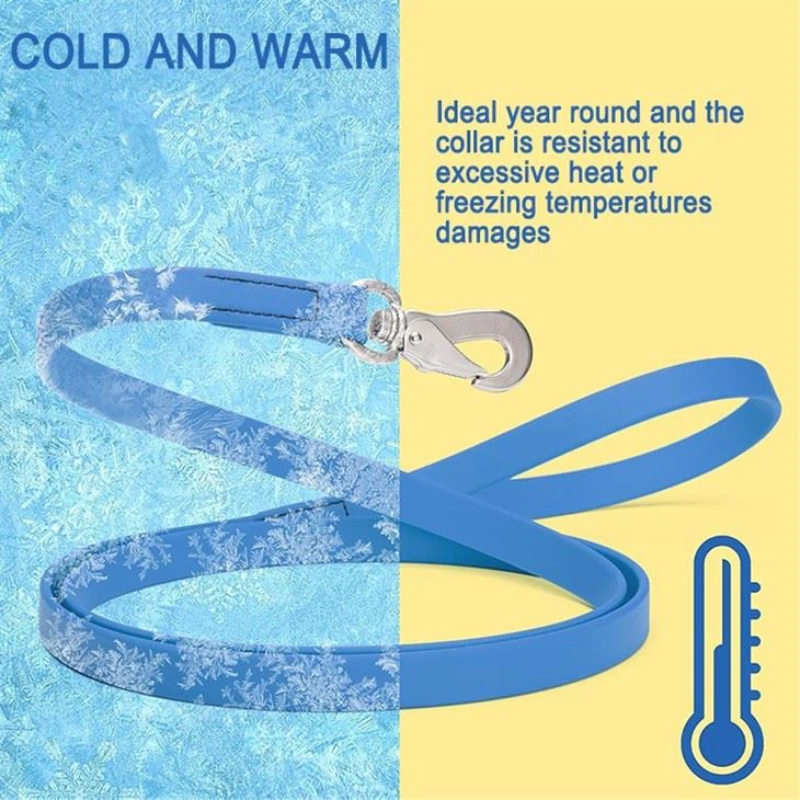 Best Biothane Leash