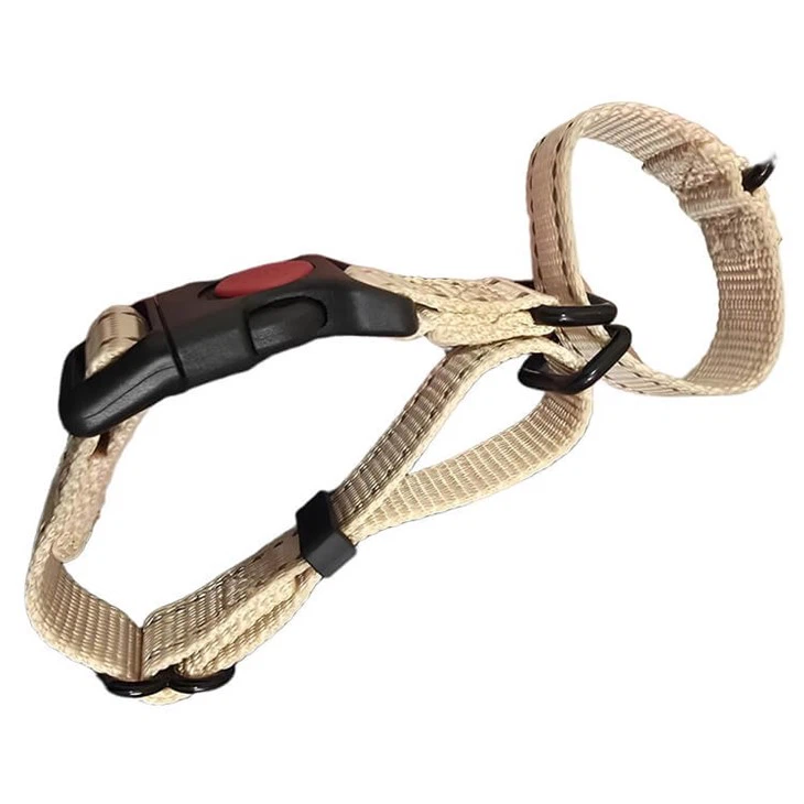 Best Martingale Collar