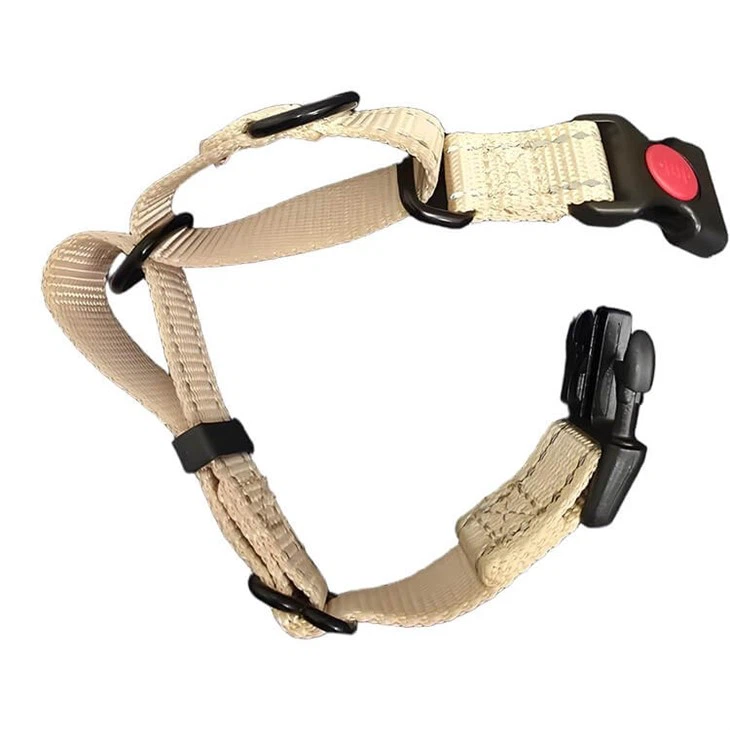 Best Martingale Collar