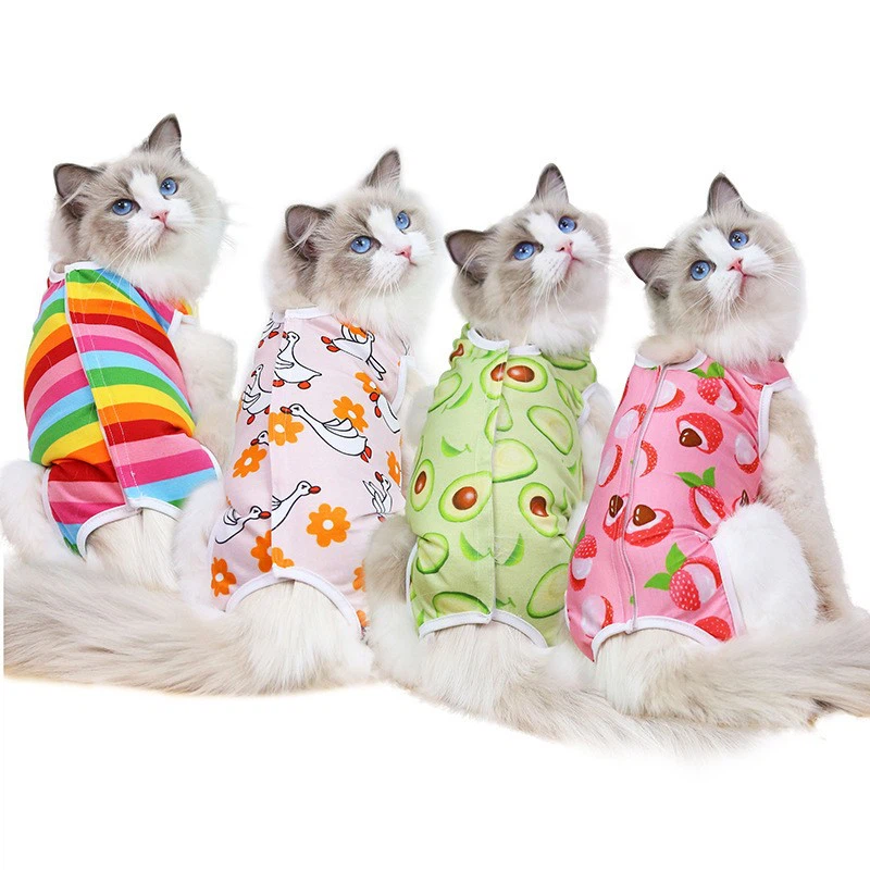 Cat Surgery Shirt