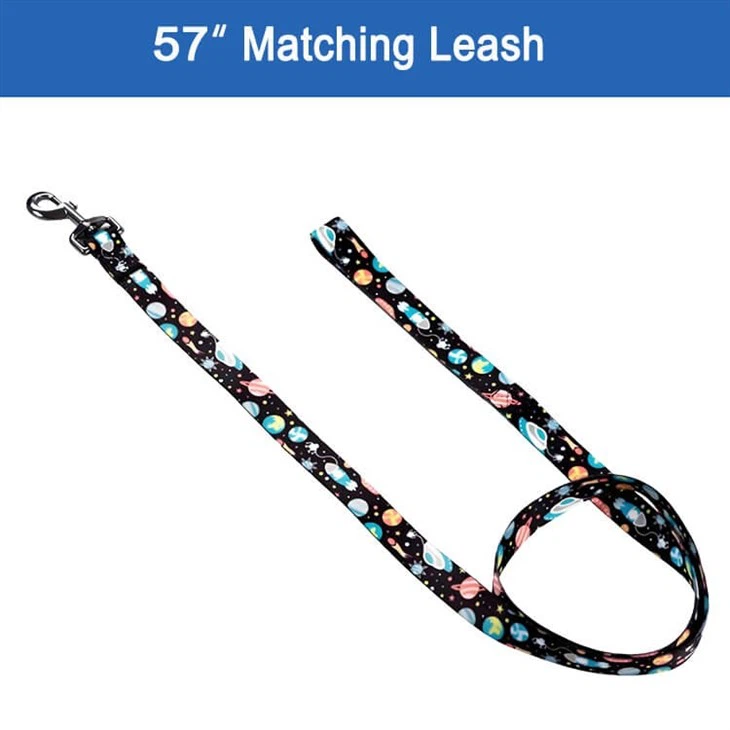 Cheap Dog Collars And Leashes