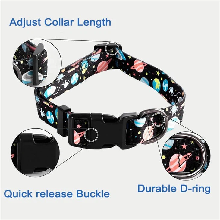 Cheap Dog Collars And Leashes