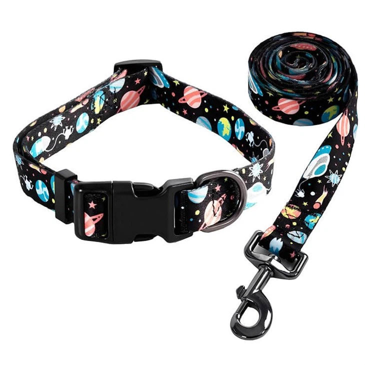 Cheap Dog Collars And Leashes