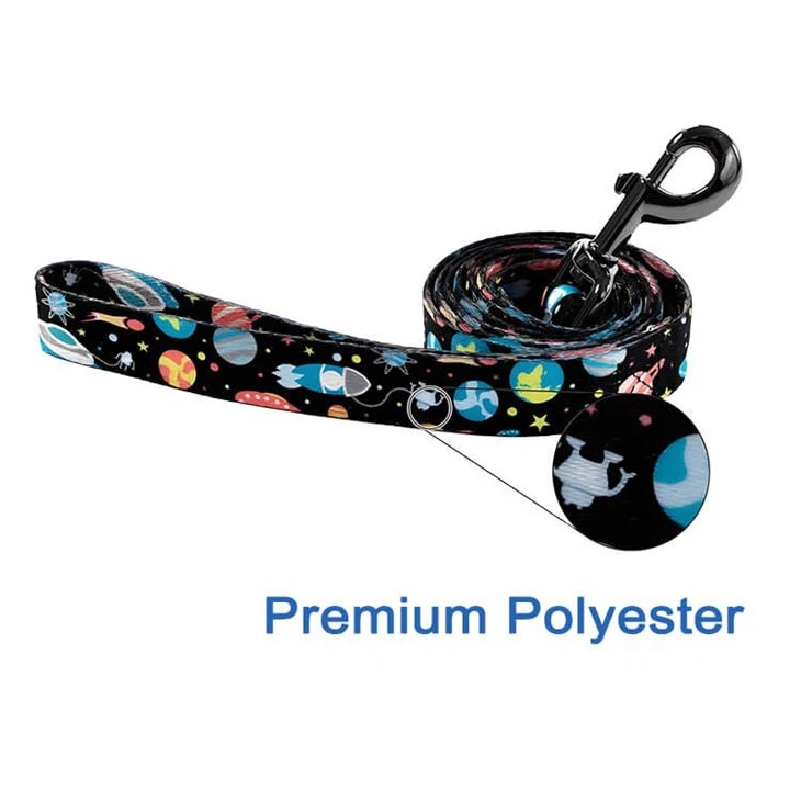 Cheap Dog Collars And Leashes