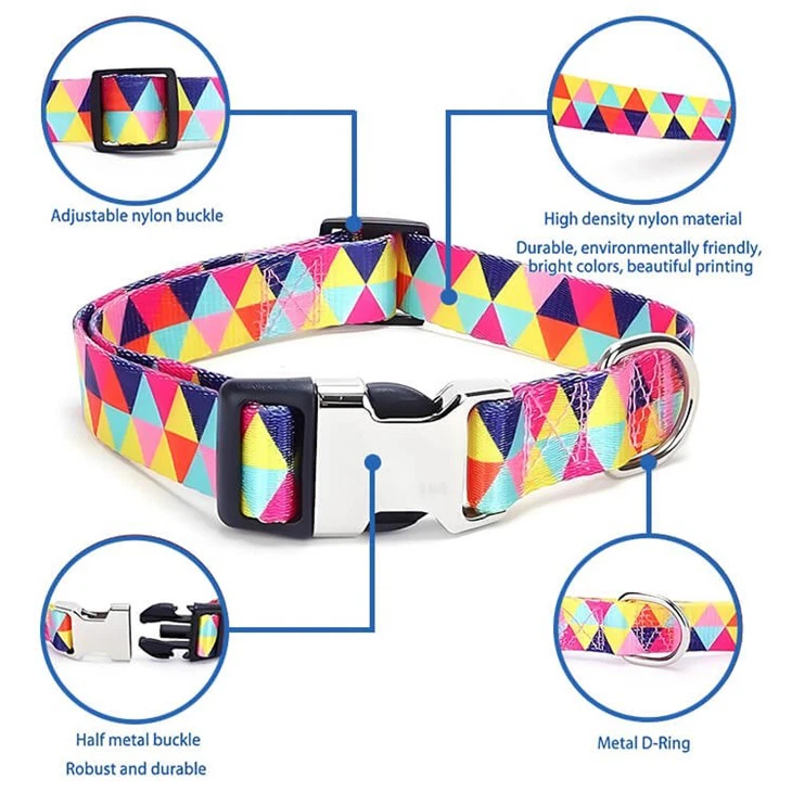 Designer Dog Collar And Lead