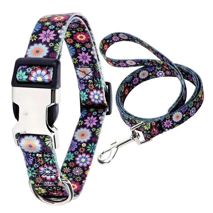 Designer Dog Collar And Lead