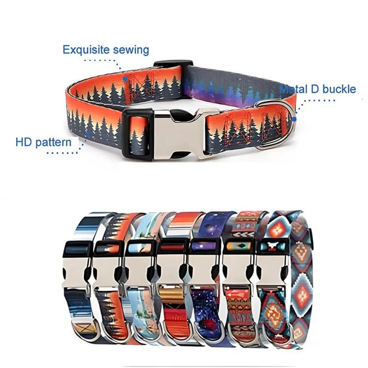 Designer Dog Collar And Lead