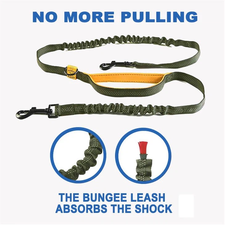 Double Sided Leash