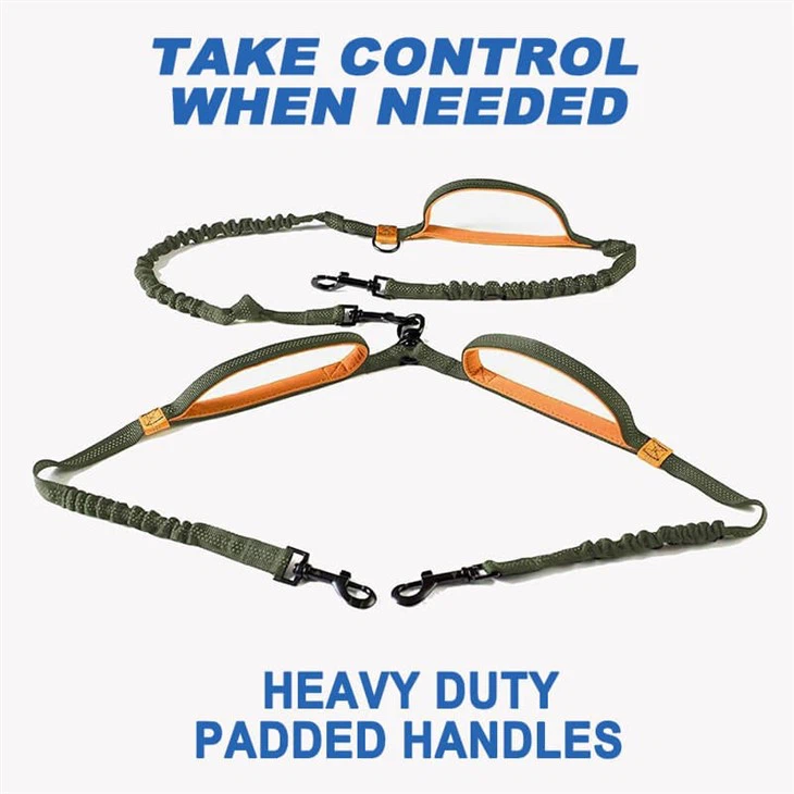 Double Sided Leash