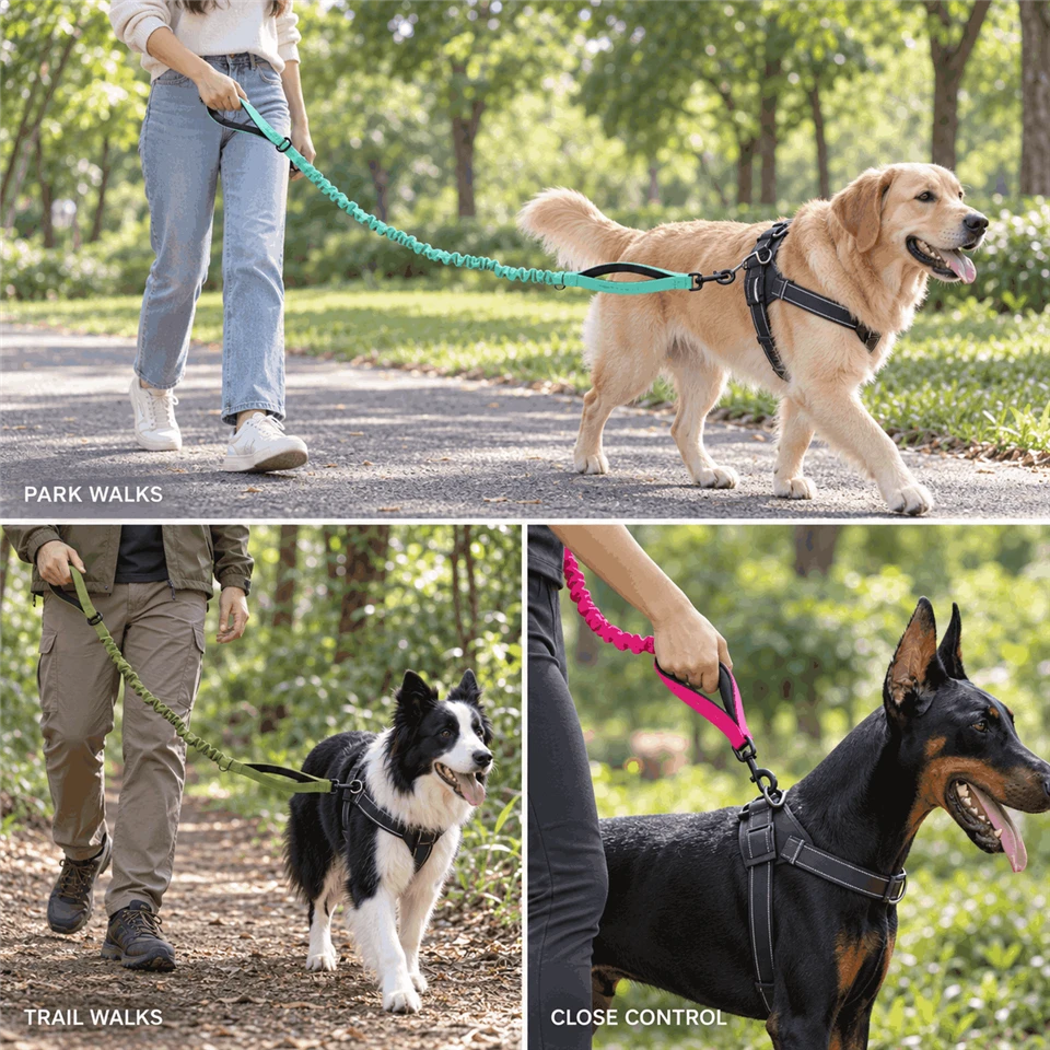 Dual Handle Bungee Dog Leash factory