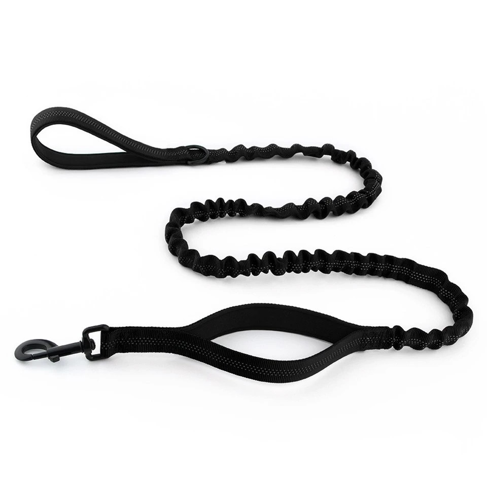 Dual Handle Bungee Dog Leash suppliers