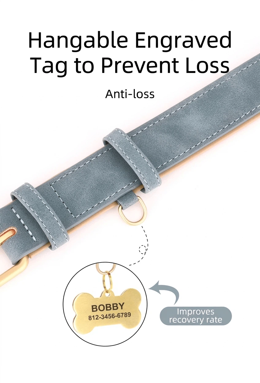 Engraved Nameplate Dog Collar factory