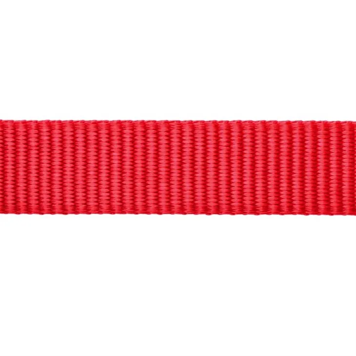 Grey Dog Collar