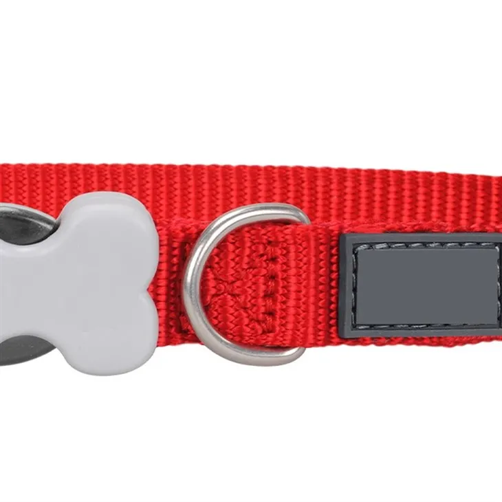 Grey Dog Collar