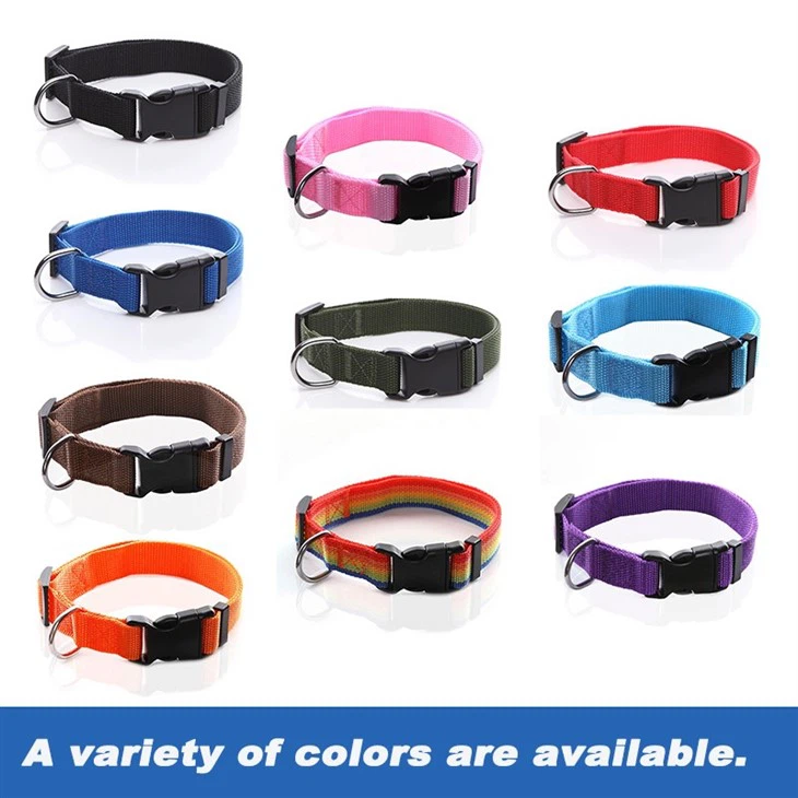 Large Dog Collars