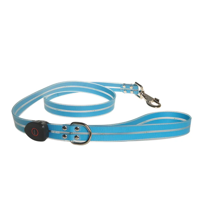 Led Dog Lead