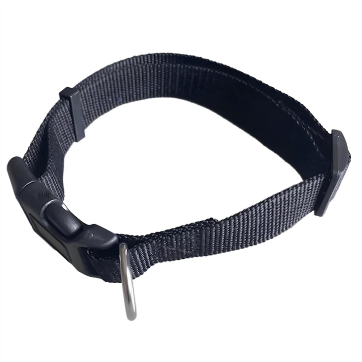 Luxury Dog Collars
