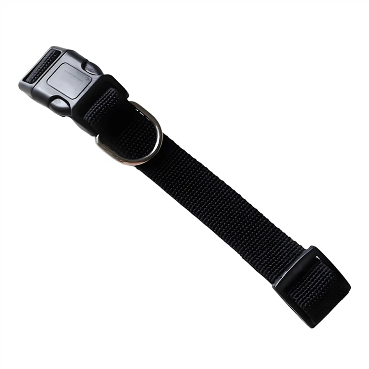 Luxury Dog Collars