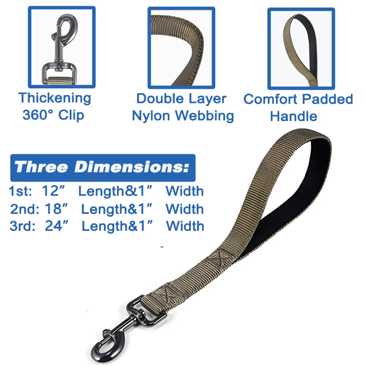 Modern Dog Leash