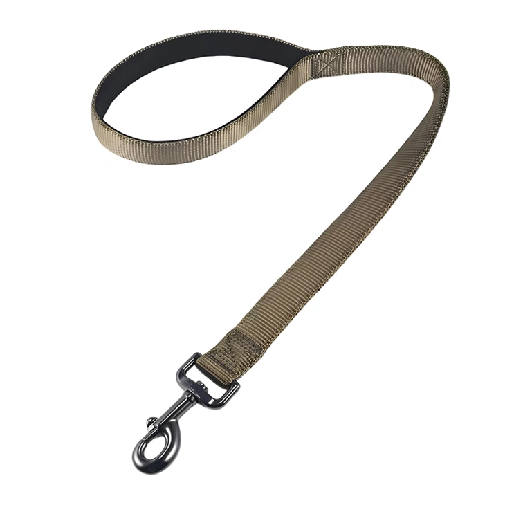 Modern Dog Leash