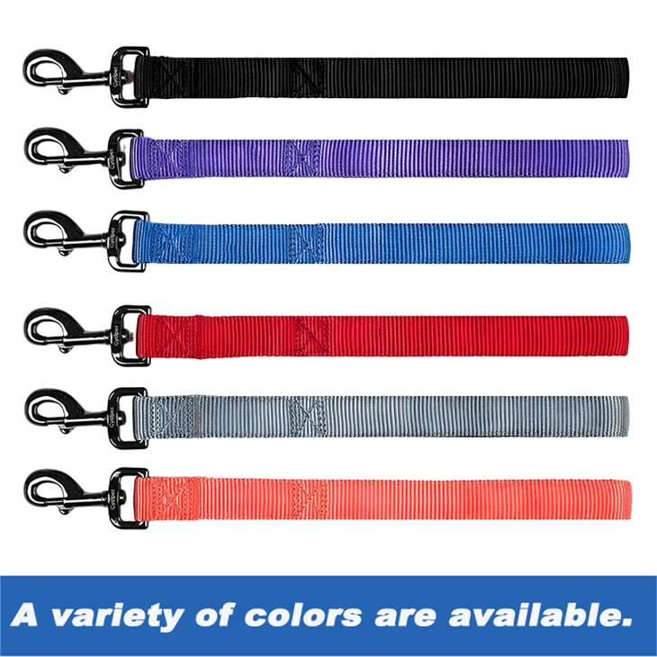Modern Dog Leash