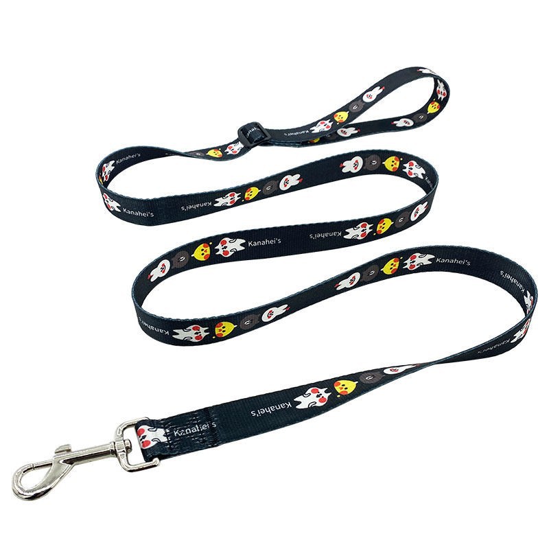 Multi-Functional Dog Leash best