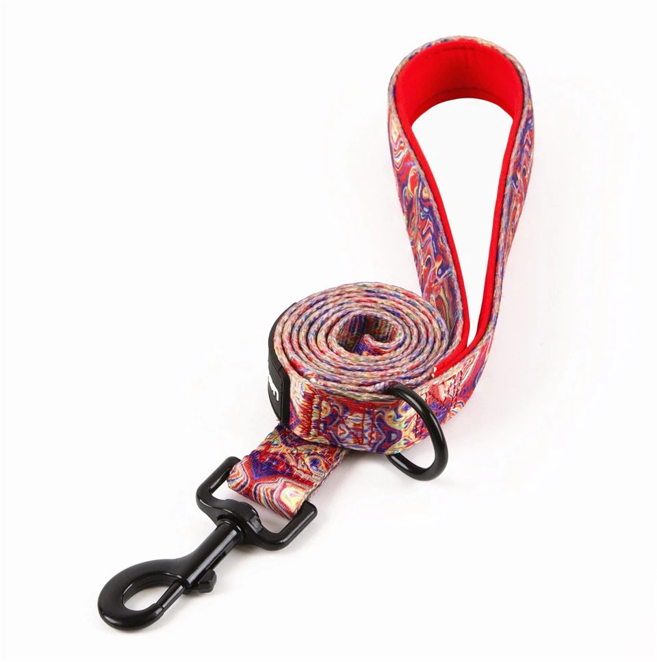 Neoprene Padded Handle Leash suppliers
