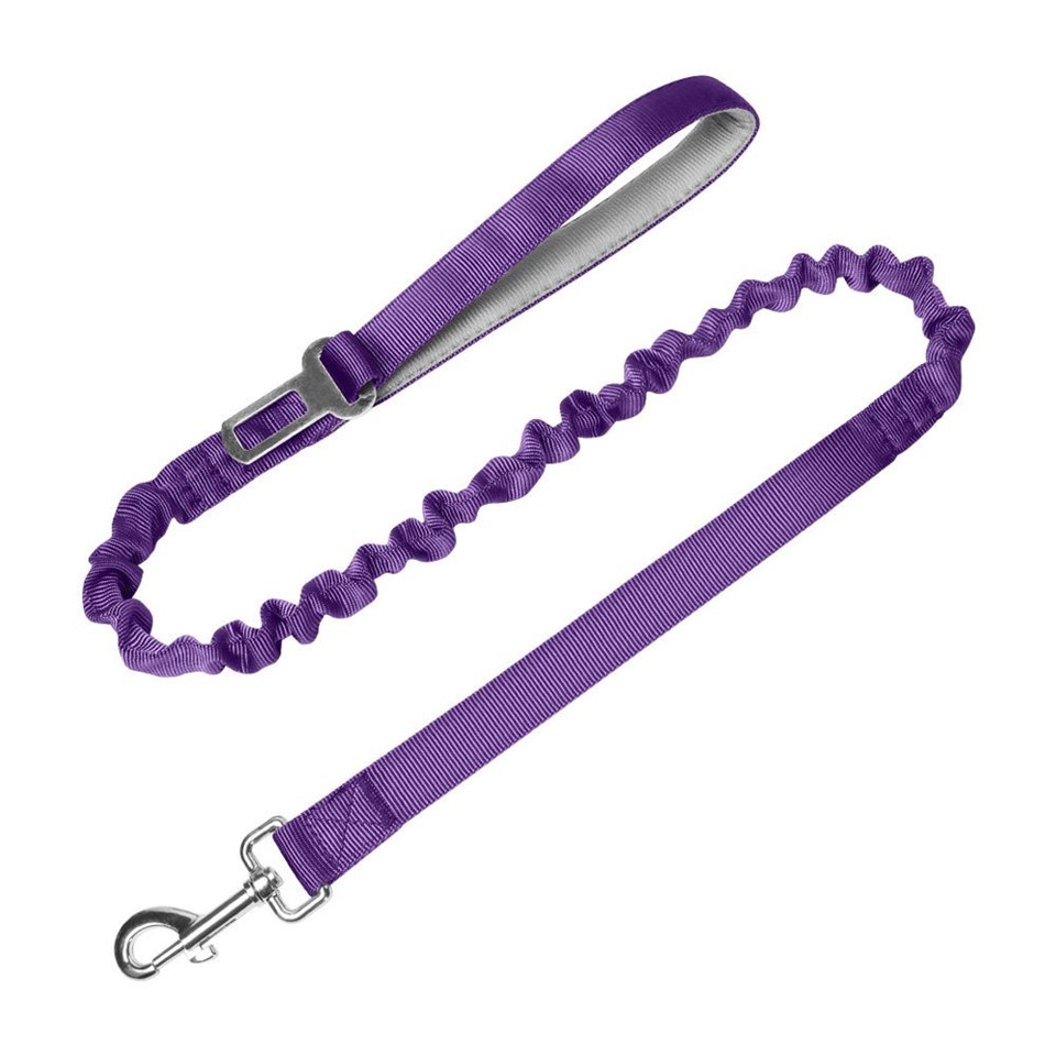 Neoprene Padded Traffic Handle Leash best