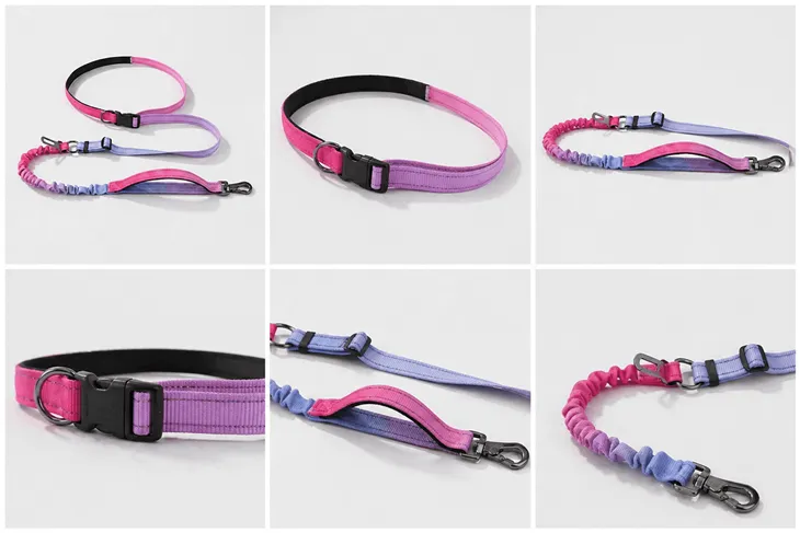 bulk pet leash sets