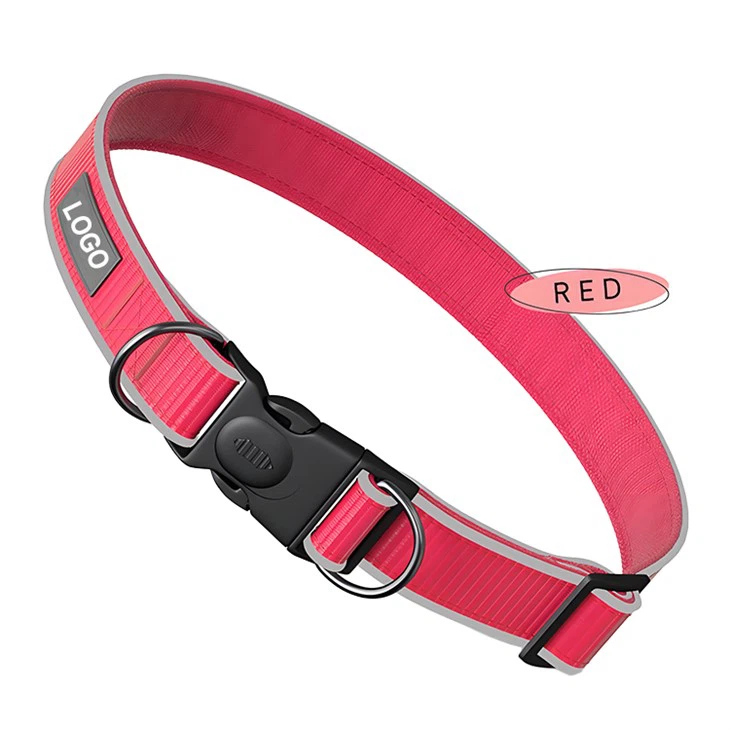 Small Dog Collars