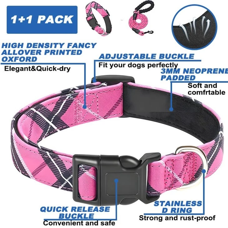 Premium Dog Collars And Leashes