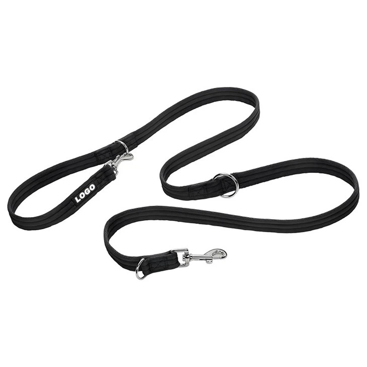 Pretty Dog Leashes
