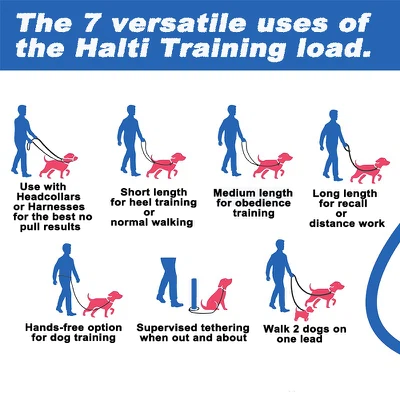 indestructible dog leash indestructible dog leash
